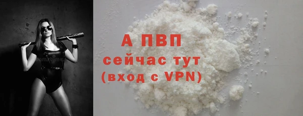 сатива Армянск