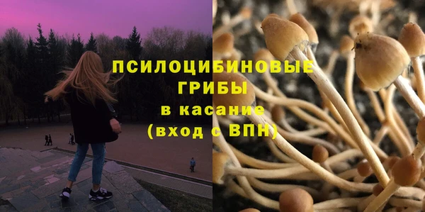 a pvp Алексеевка
