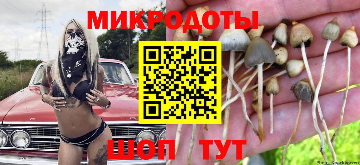Еманжелинск  Псилоцибиновые грибы GOLDEN TEACHER  Вход с VPN 
