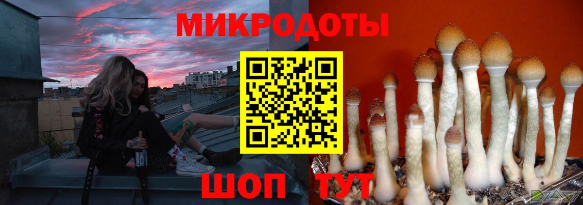 Псилоцибиновые грибы прущие грибы Еманжелинск